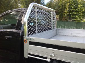 Ford Ranger Platinum Tray #37