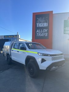 Fleet Car with  Tradie Series Tray